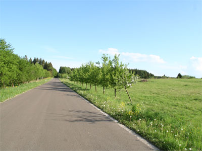 Solarstrom, Passivhaus, Solarplanung