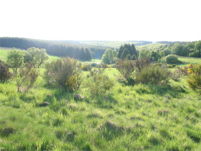 Sonnenhaus, Solardach, EEG